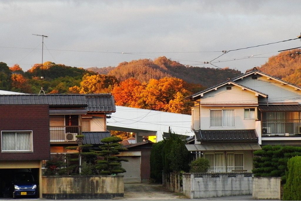 燃える山
