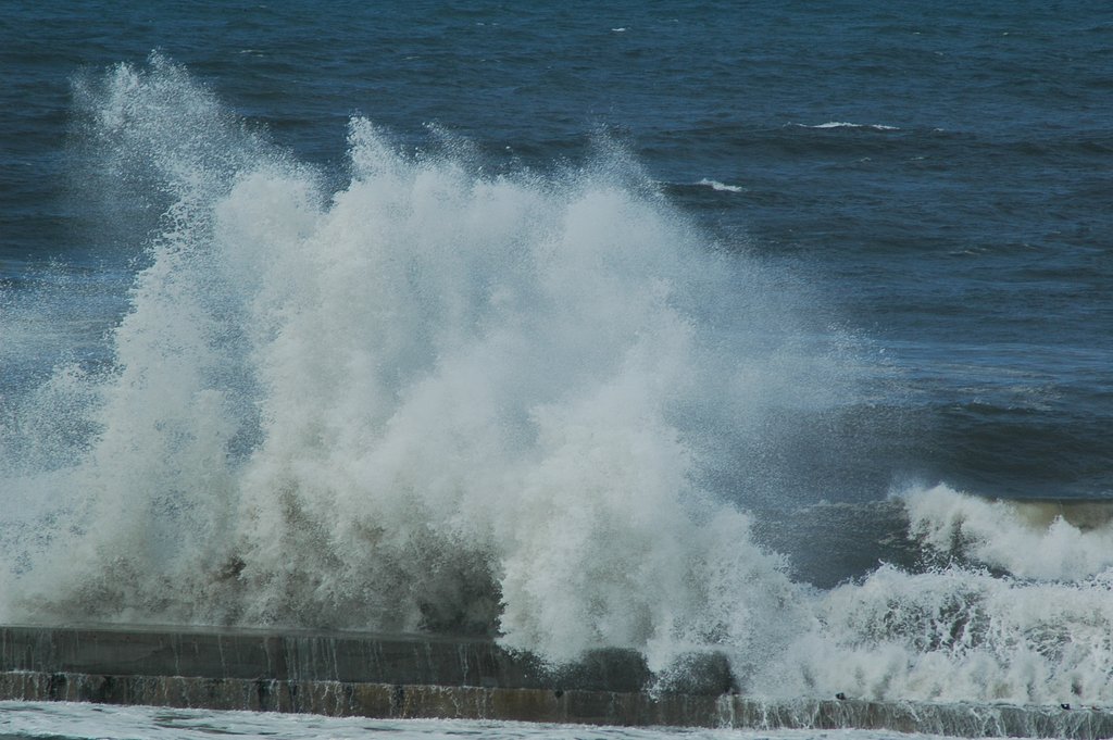 台風の波