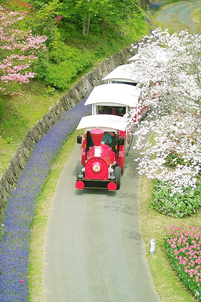 花の中を