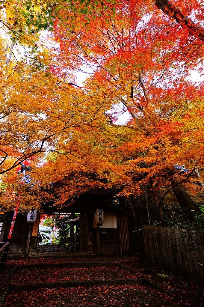 山門の紅葉