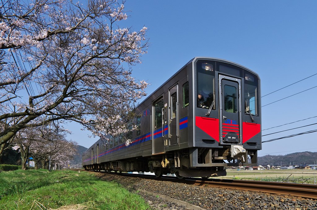 【おだやかに・・春】桜並木の傍を・・