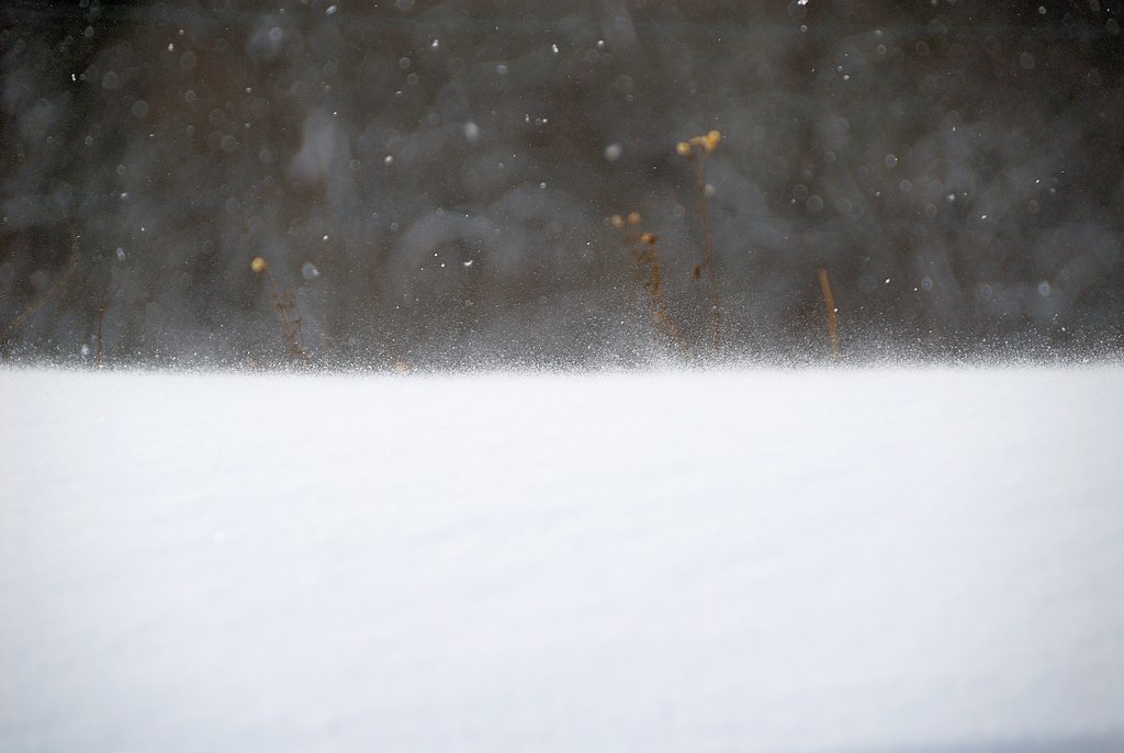 雪面の動き