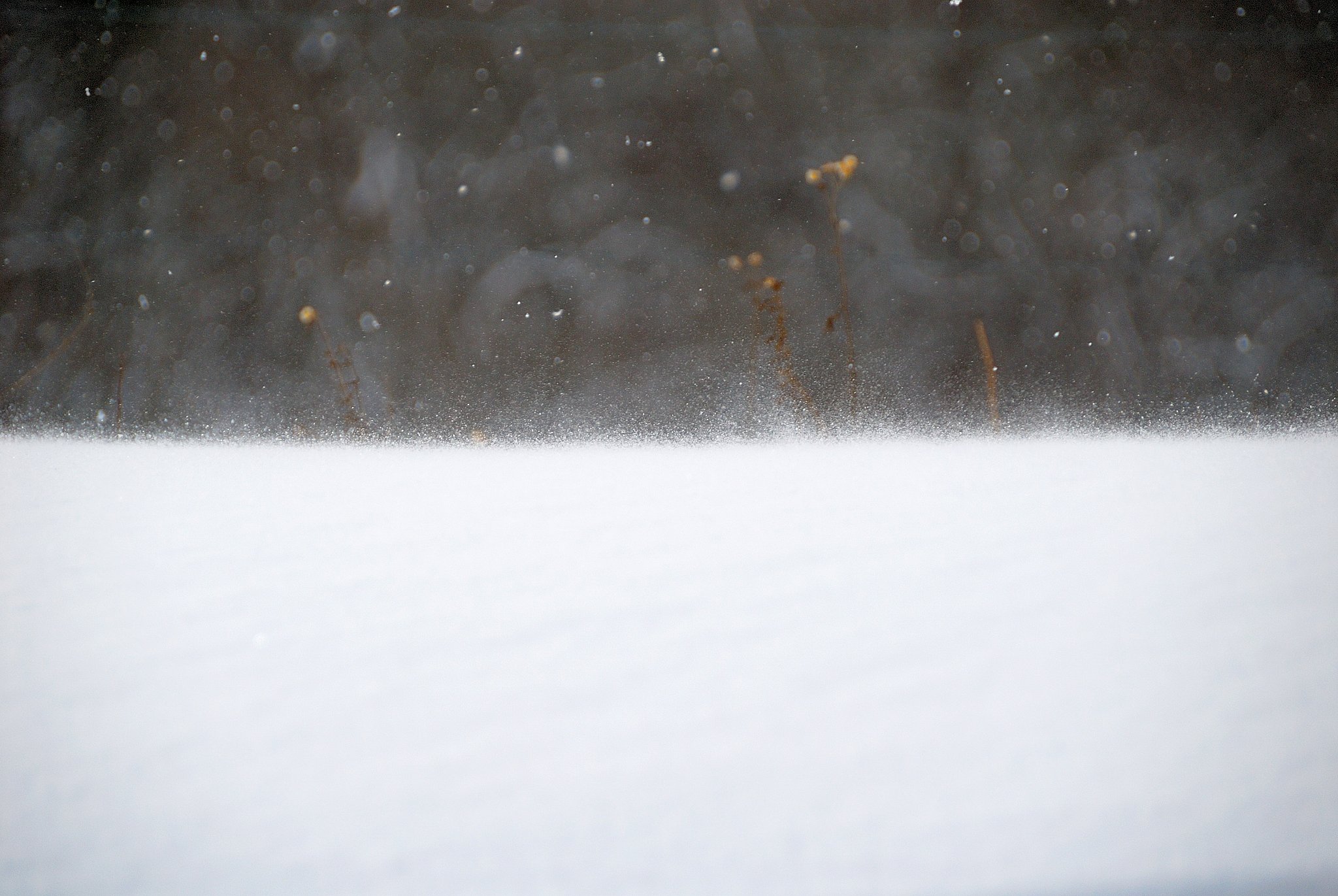 雪面の動き