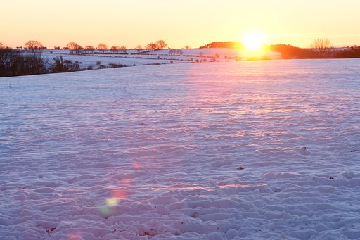 雪原に沈む