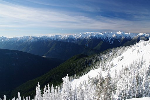Olympic National Park