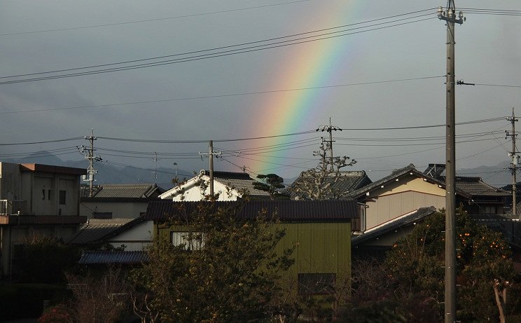 虹