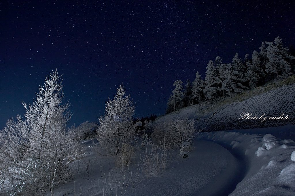 樹氷と星空
