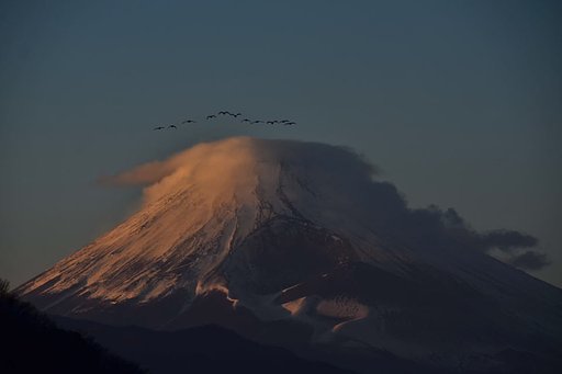 大晦日紅富士鵜2010