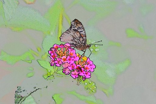 ランタナにアカタテハ