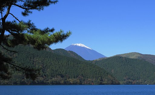 [絵のような]富士山