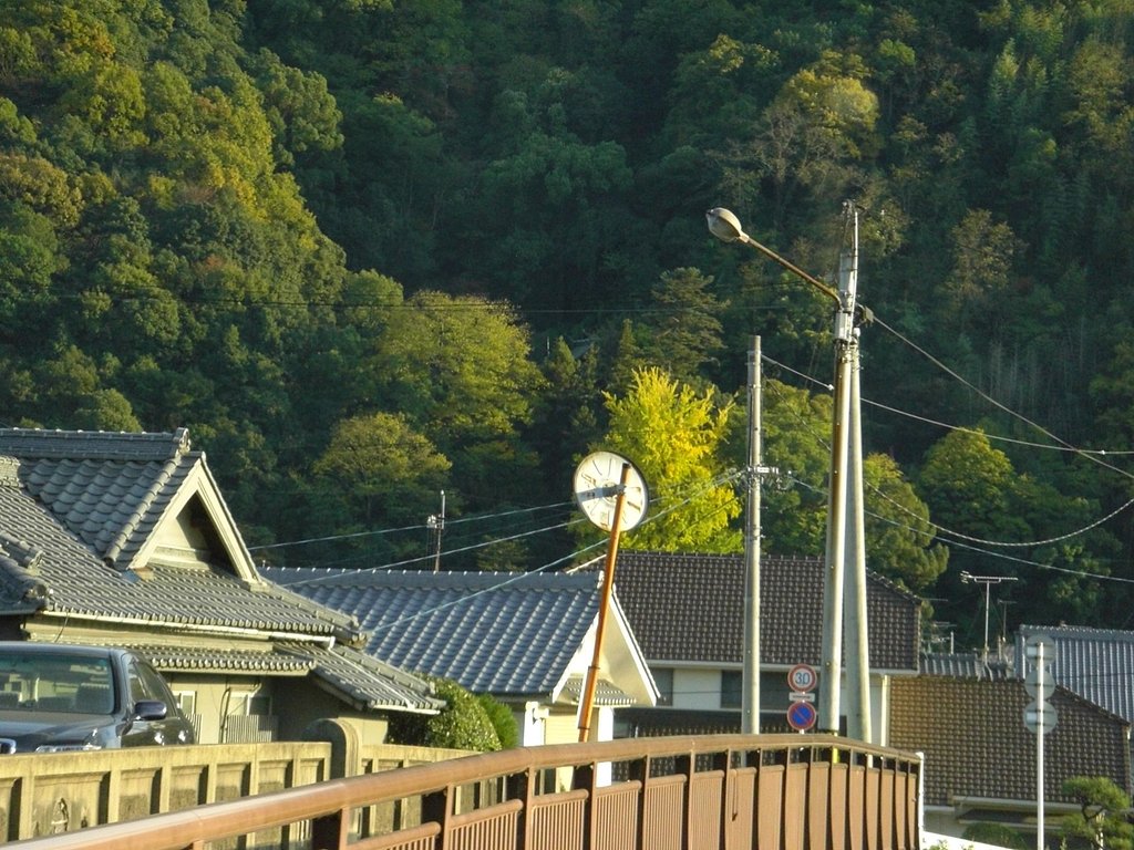 遠目に