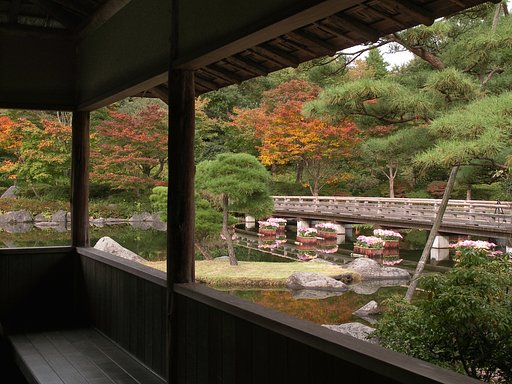 【絵のような】秋の日本庭園