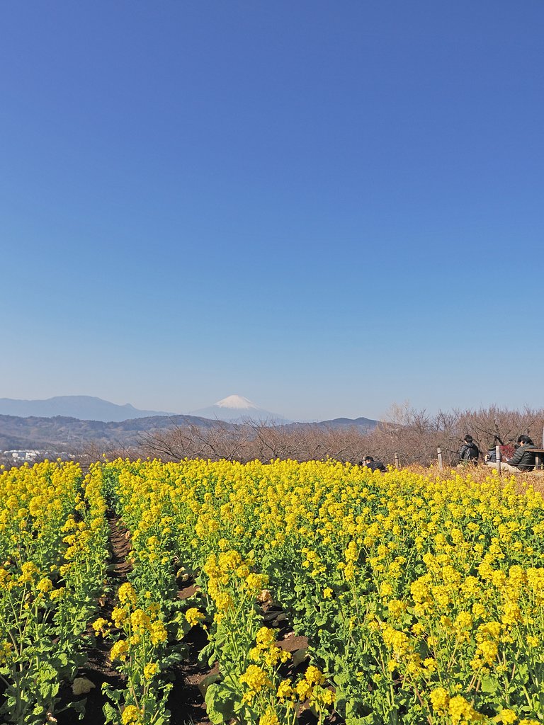 春の岸辺で
