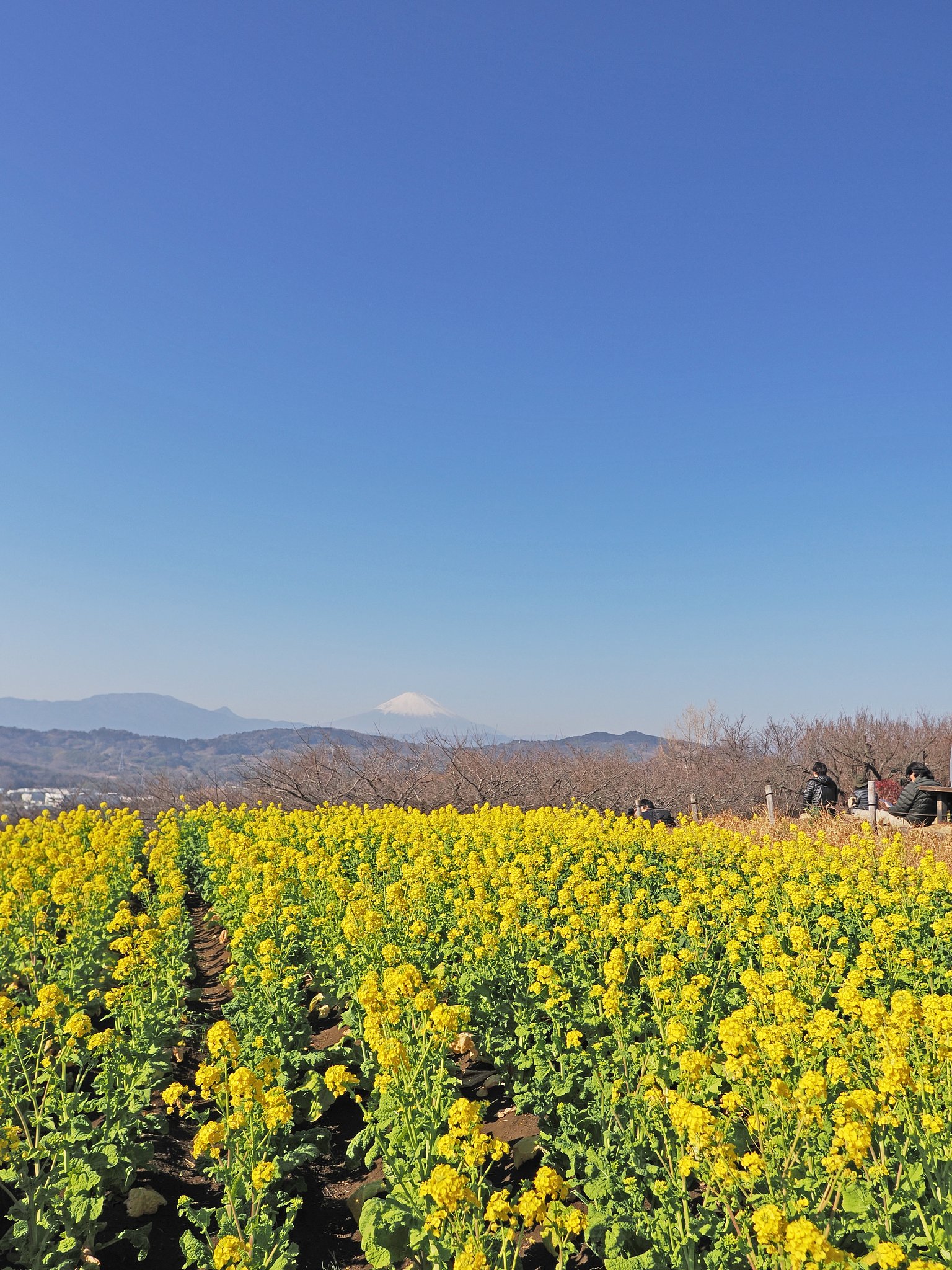 春の岸辺で