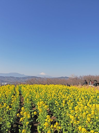 春の岸辺で