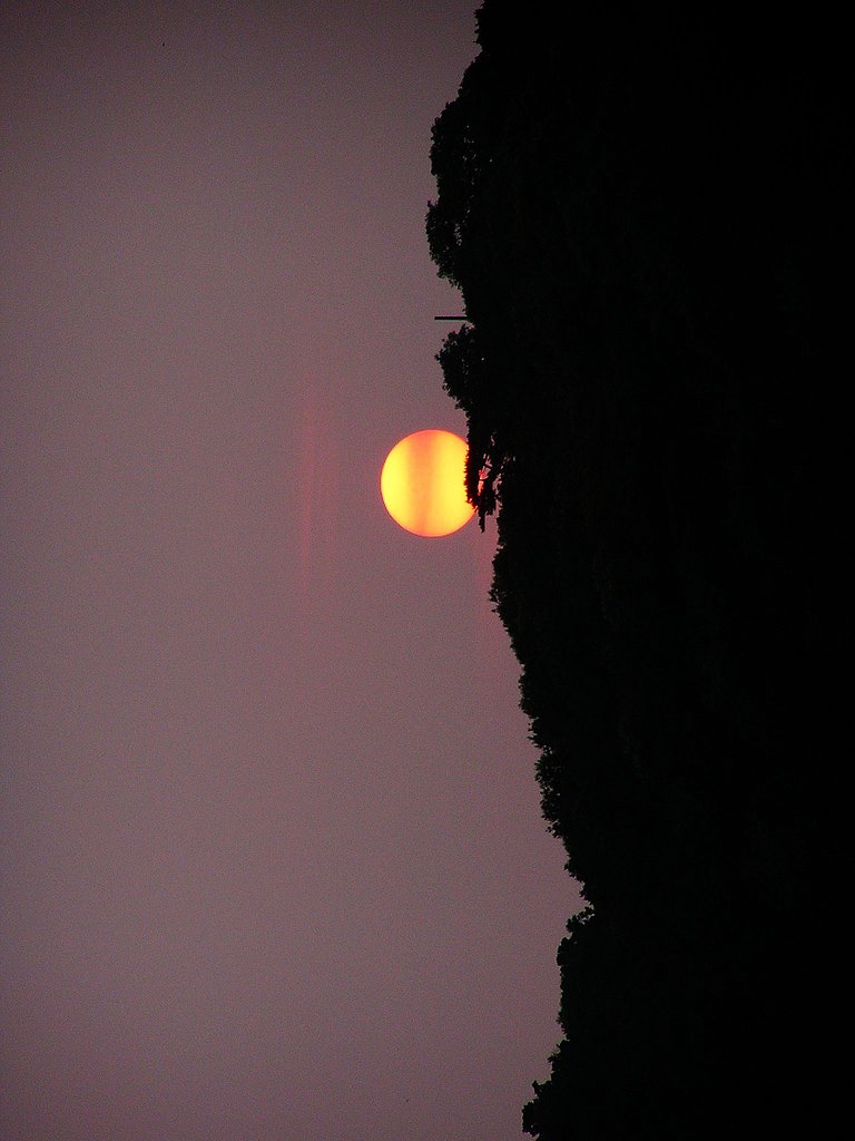 【Ｓ】絵？え？