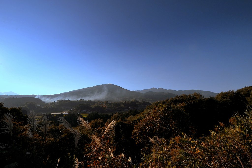 今頃の時期の山郷