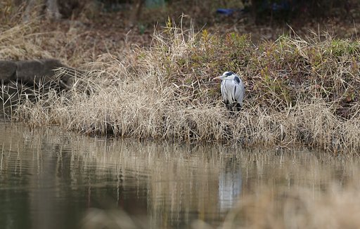 1月20日の写真