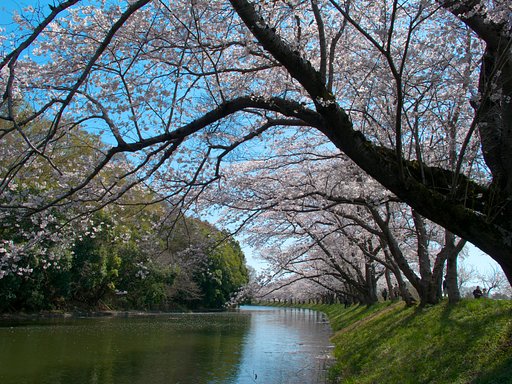 穏やかに・・・