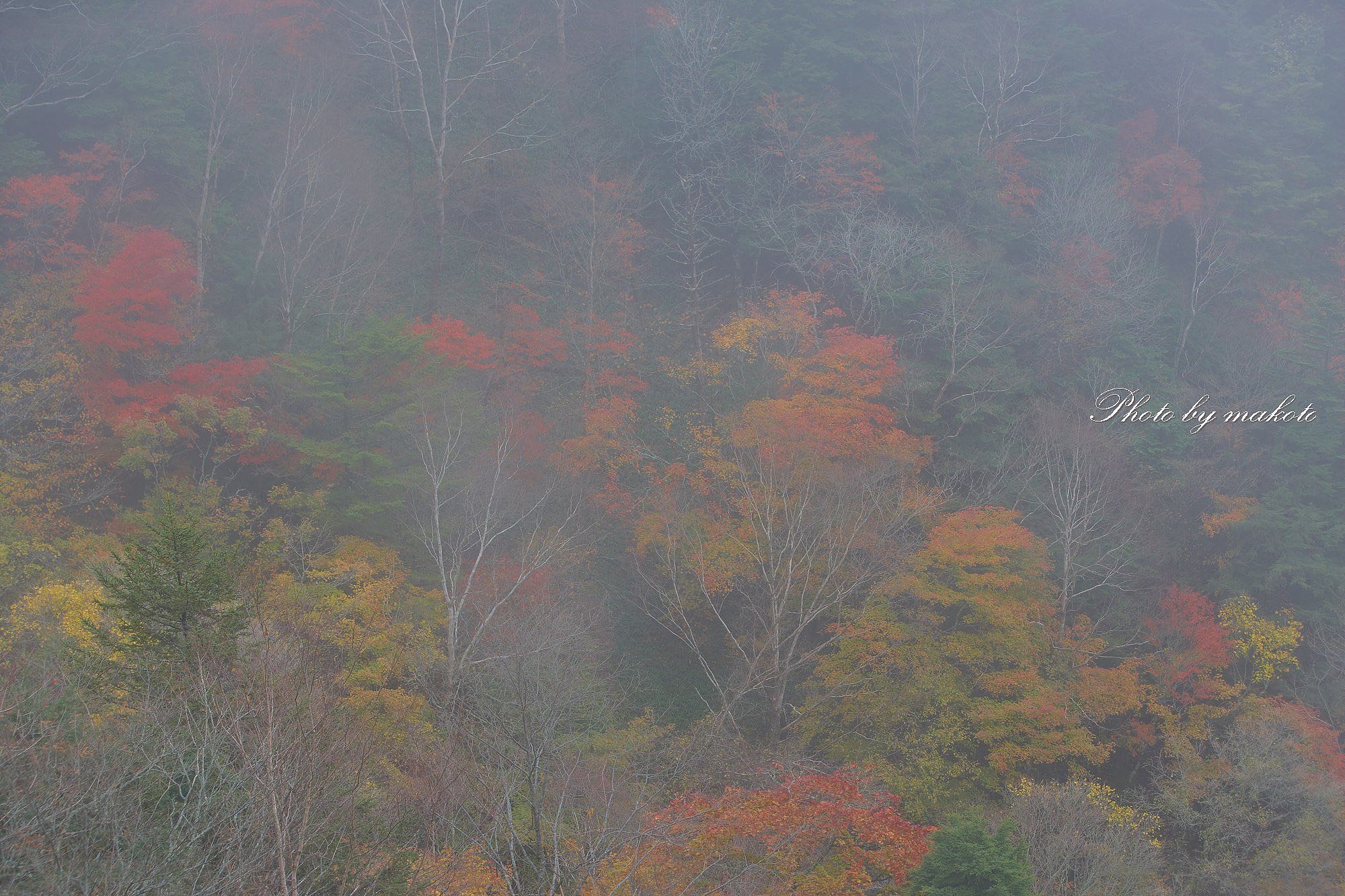 霧の向こうに