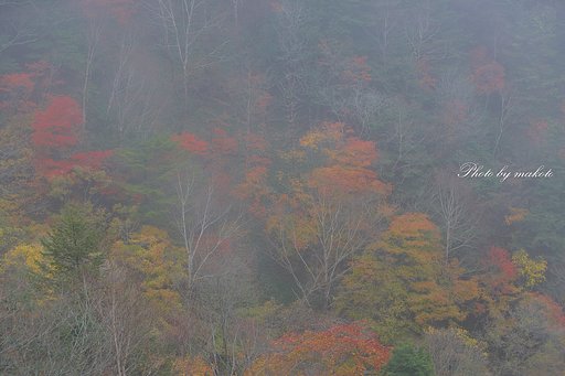 霧の向こうに