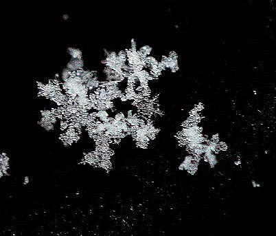 雪の結晶