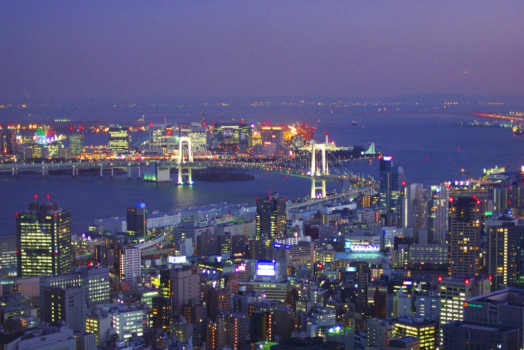 東京タワー特別展望台から