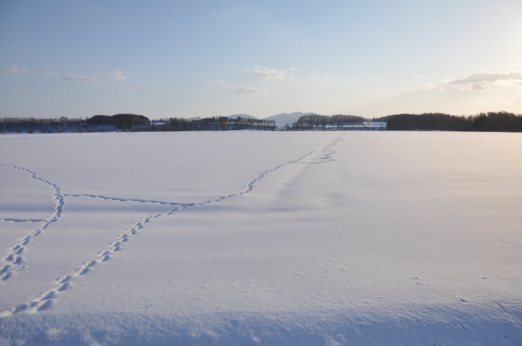 続く足跡