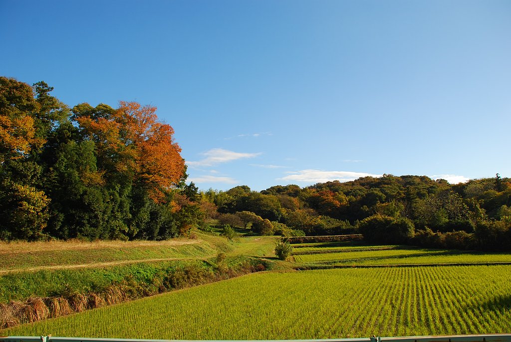 里山