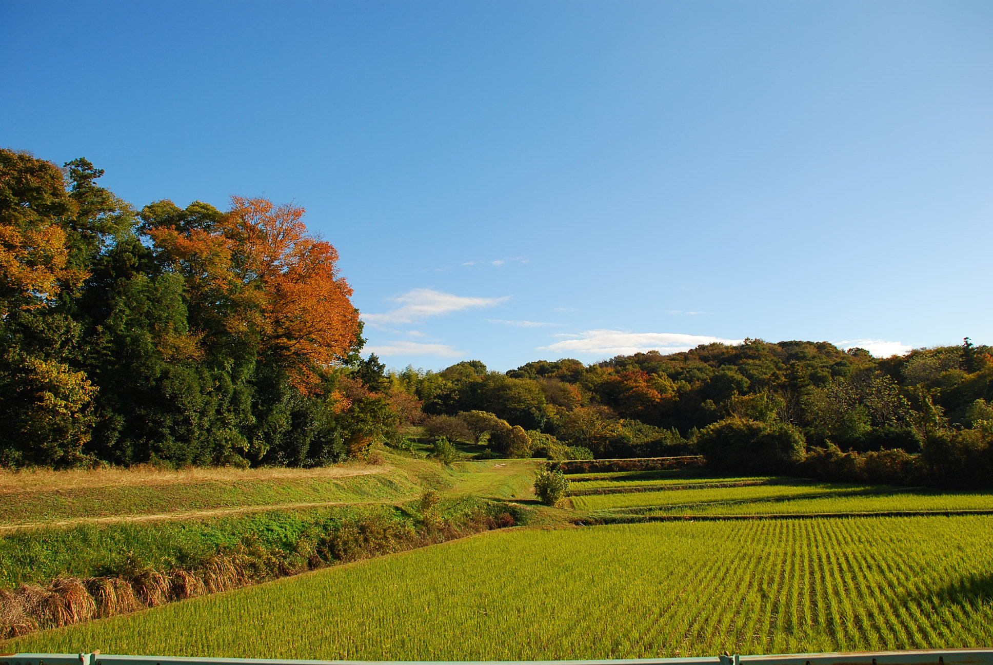 里山