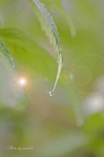雨音を聞きながら