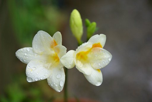 強い香水の匂いが・・