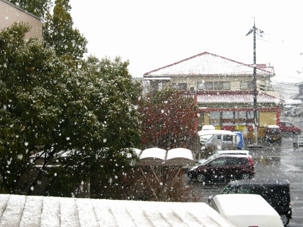ようやく雪が