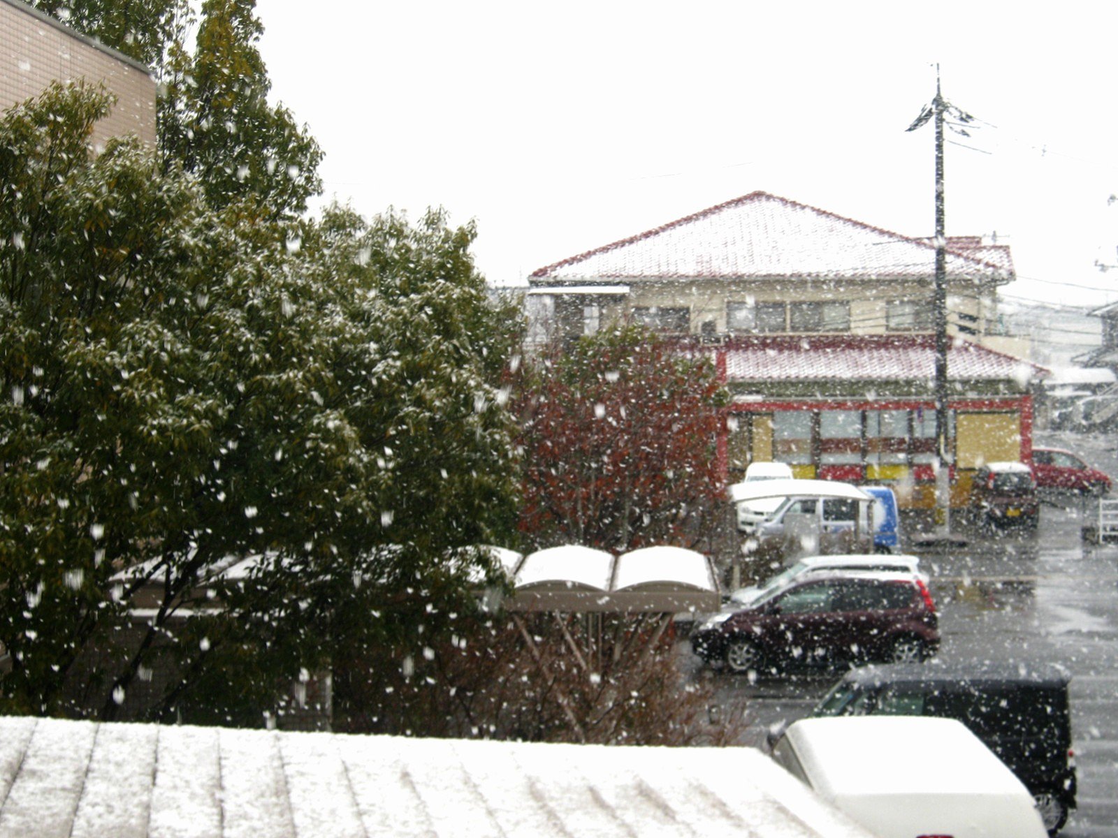 ようやく雪が