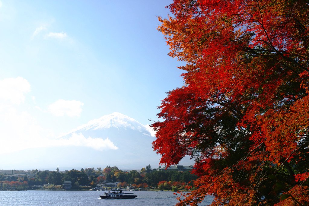 河口湖の紅葉