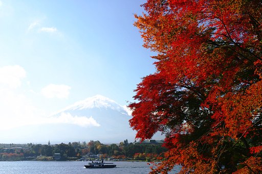 河口湖の紅葉