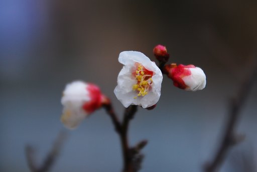 雨上がり