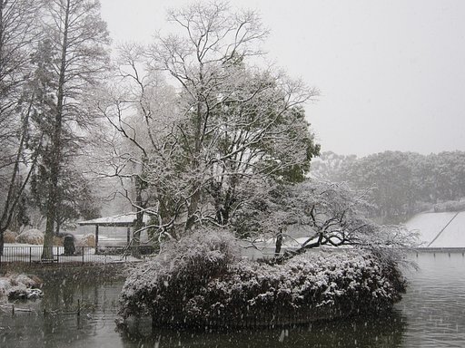 浮島
