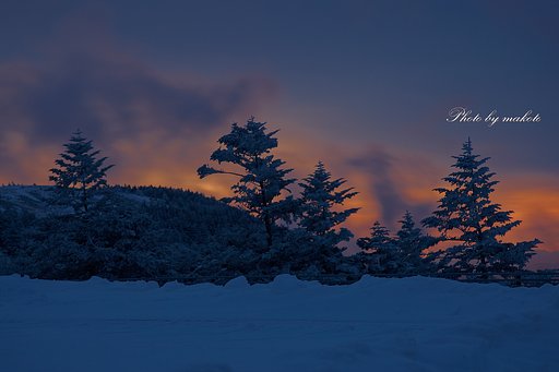 山の朝