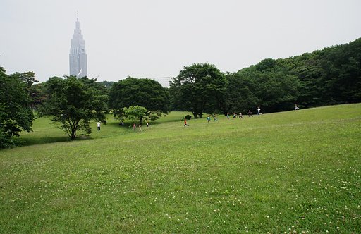 明治神宮にて