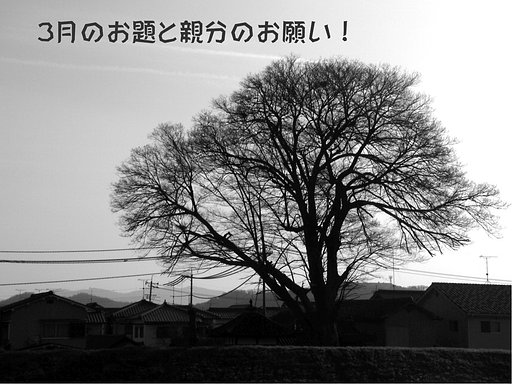 ３月のお題と親分の【お願い】