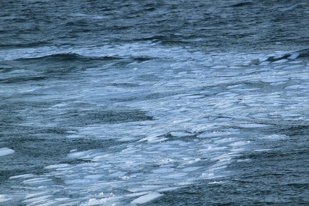 流氷の欠片だけ