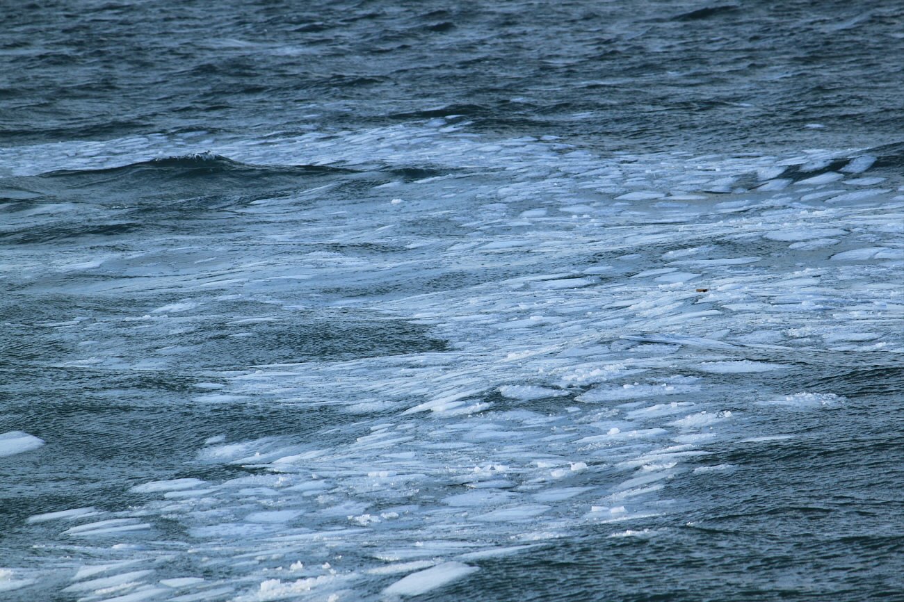 流氷の欠片だけ