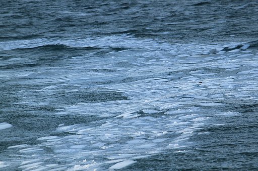 流氷の欠片だけ