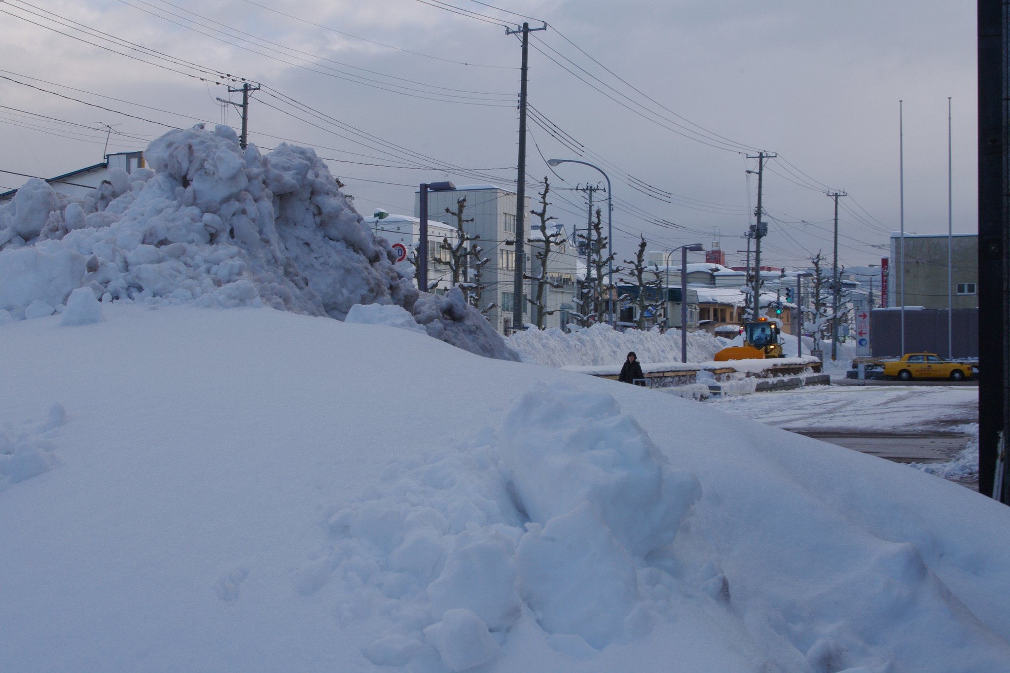 青森は雪だった