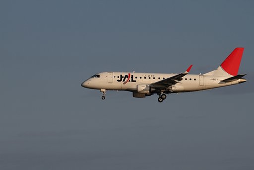 ＪＡＬ