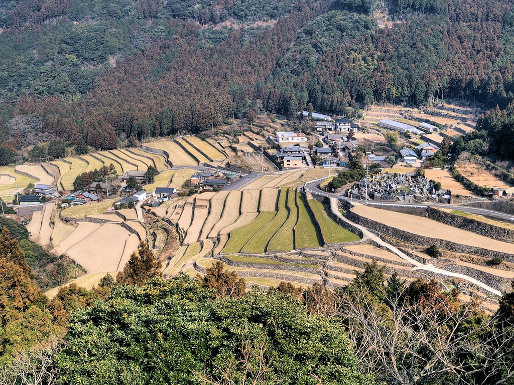 千々石棚田