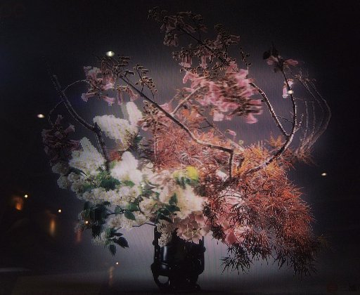 花の画像