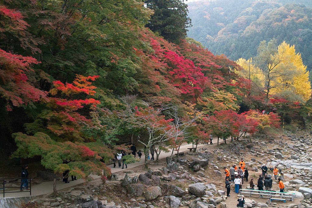 【写真しりとり】きのうは紅葉散策　→　「く」