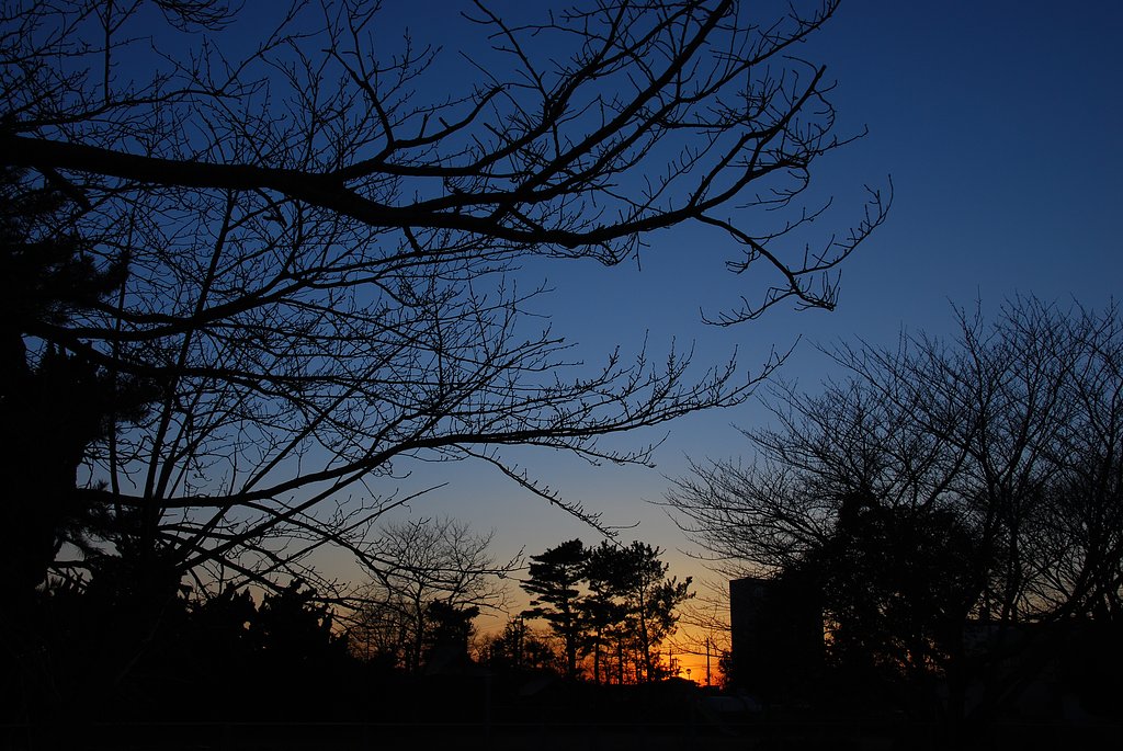 冬の夕暮れ